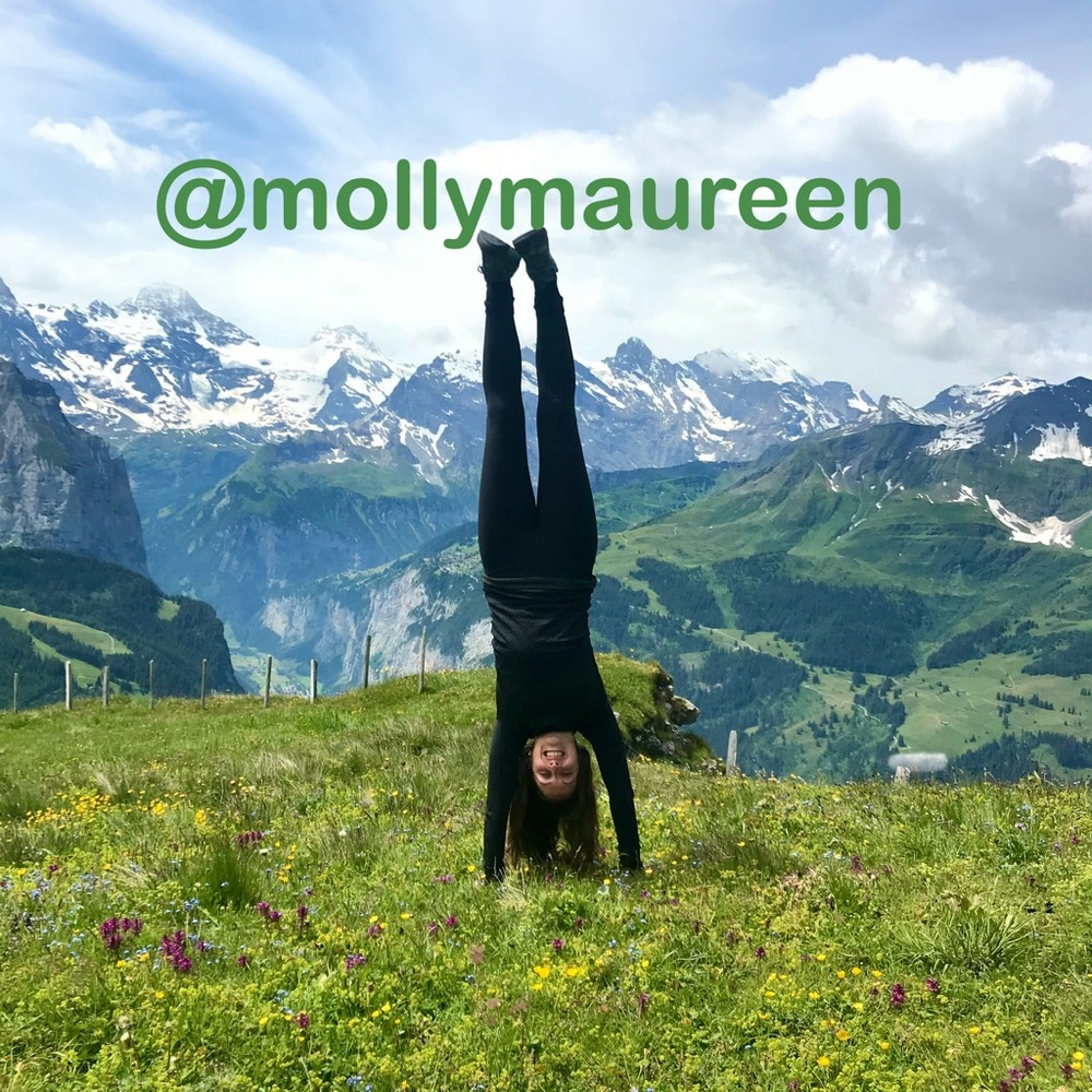 Meet your Posher, Molly